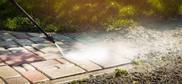 Best Animal Enclosure Cleaning  in Grapevine, TX